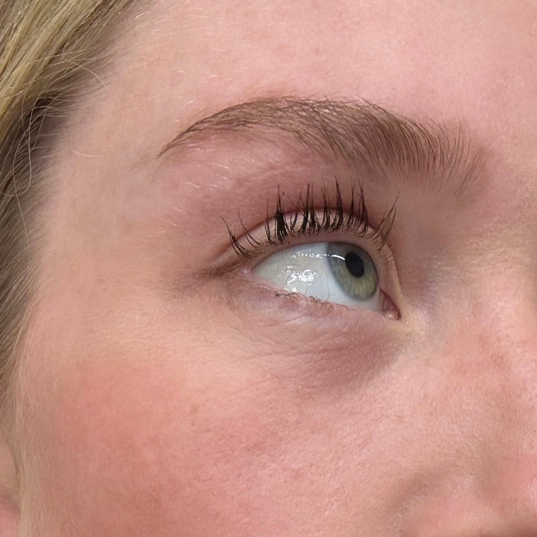 Lash & Brow Kit